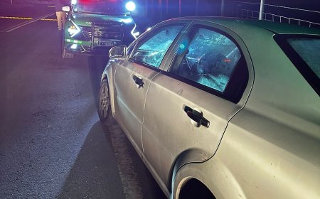 Cuatro sujetos protagonizan violento robo en local comercial en Paillaco y huyen en vehículo robado