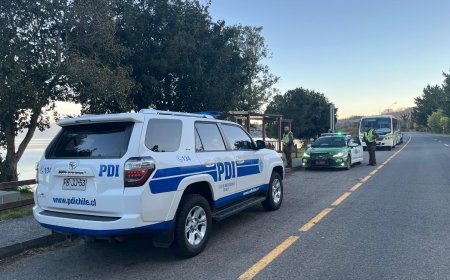 Estudiante de la UACh fallece en aguas del Lago Ranco