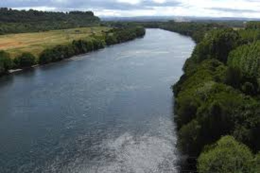 Sin resultados búsqueda de persona caída a las aguas del Rio Bueno