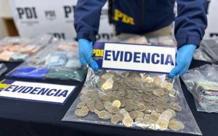 PDI desarticula red criminal "gota a gota" con 14 detenidos en operativo sur del país