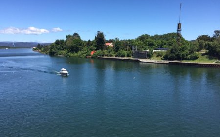 Pescador de 78 años muere al caer al río Valdivia durante faenas de pesca