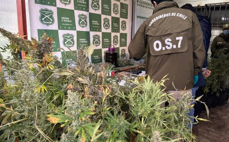 Incautan drogas y armas tras desarticular red criminal en Valdivia con 8 detenidos