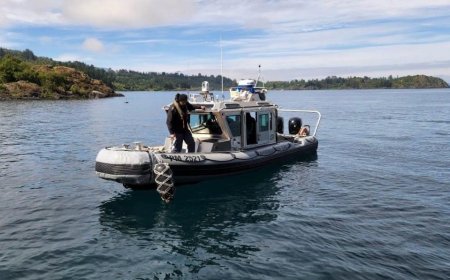 Siete personas salen ilesas tras volcamiento de embarcación en el lago Ranco