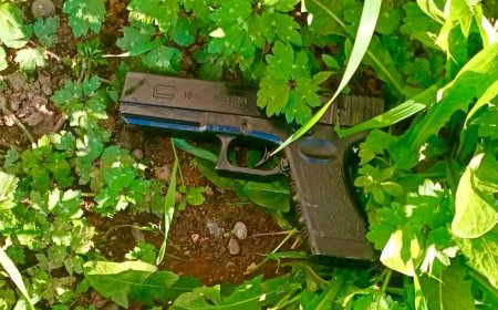 Hombre que asaltó con pistola de juguete a trabajadores municipales en Valdivia queda en prisión preventiva