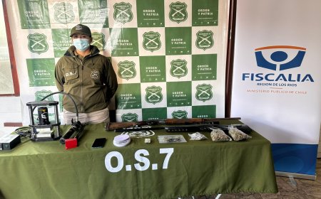 Incautan drogas y armas al desarticular punto de acopio en Panguipulli