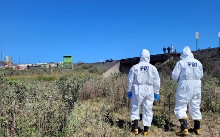 Trabajador forestal de 59 años muere al ser golpeado por árbol en faena de Máfil