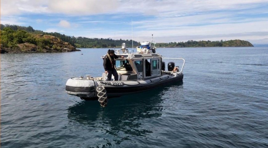 Siete personas salen ilesas tras volcamiento de embarcación en el lago Ranco