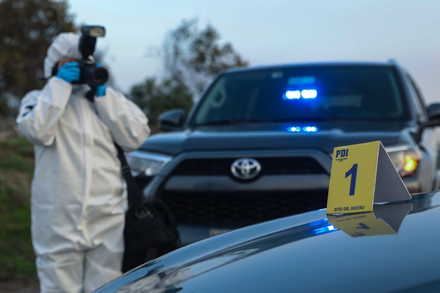 Hallan cuerpo sin vida en humedal de Los Lagos que correspondería a hombre desaparecido desde octubre