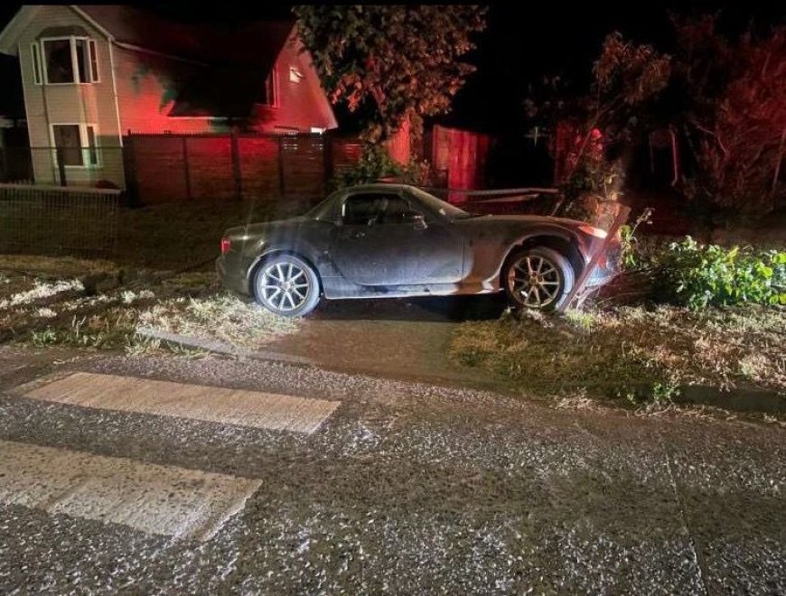 Dos hombres condenados a más de 10 años de cárcel por violenta encerrona y robo a matrimonio en Valdivia