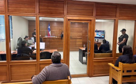 Consejero Regional Mario Schmeisser es formalizado por conducir ebrio, causar accidente y huir del lugar en Valdivia
