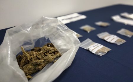 PDI detiene a dos hombres que vendían droga mediante delivery y redes sociales en Puerto Montt