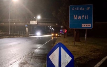 Mujer de 32 años aparece fallecida en la Ruta 5 Sur en Máfil: investigan si fue atropellada