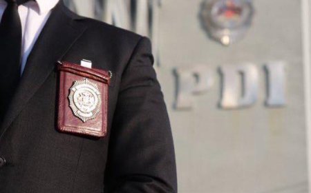 Roban equipamiento valorado en $8 millones tras forzar local comercial en Puerto Varas