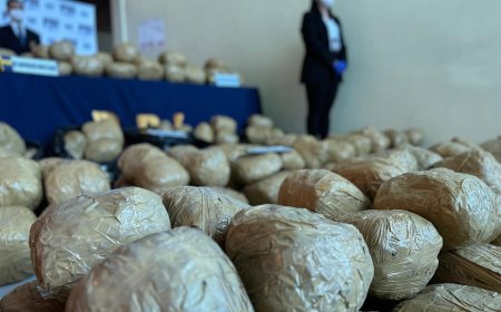 PDI incautó cerca de 800 kilos de droga en la Región de Los Lagos durante 2025, marcando un récord histórico en la región