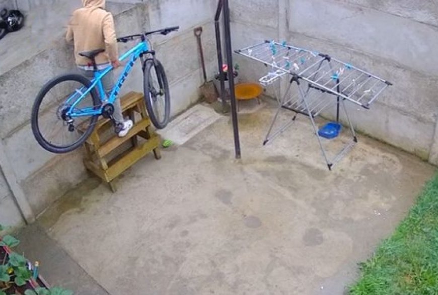 Hombre detenido por robar bicicleta de patio de vivienda mientras moradores dormían en Valdivia