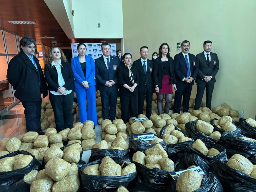 650 kilos de cannabis son incautados en el mayor operativo contra el narcotráfico del sur del país