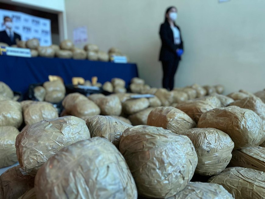 PDI incautó cerca de 800 kilos de droga en la Región de Los Lagos durante 2025, marcando un récord histórico en la región