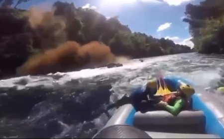 Fiscalía investiga derrumbe en cerro sobre el río Bueno tras video que muestra afectación a embarcación turística