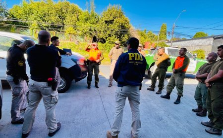 Equipos especializados rastrean múltiples puntos en búsqueda de joven desaparecido hace 26 días en Panguipulli 