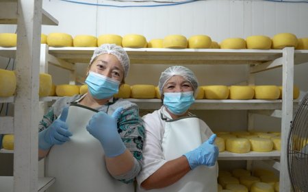 Gobierno Regional e INDAP financian camión recolector para cooperativa lechera de Río Bueno