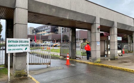 Mujer queda con riesgo vital tras ser apuñalada por su pareja en ataque en Valdivia