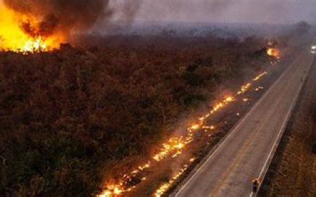 Detienen a hombre como presunto autor de incendio que dejó 20 fallecidos en Biobío