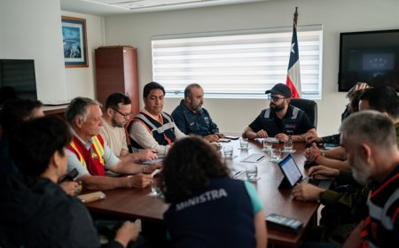 Gobierno confirma 16 fallecidos civiles por incendios forestales en Biobío y Ñuble