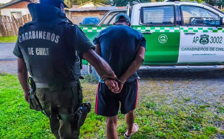 Carabineros detiene a individuo por abigeato de 10 vacunos en sector rural de Río Bueno