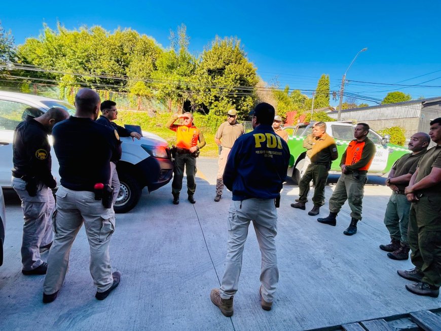 Equipos especializados rastrean múltiples puntos en búsqueda de joven desaparecido hace 26 días en Panguipulli 