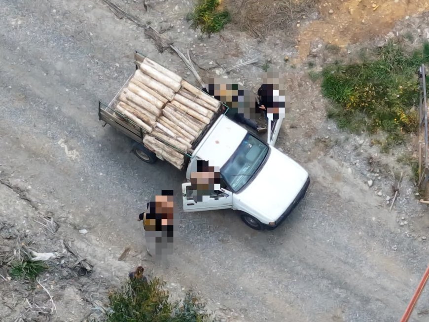 PDI detiene a dos hombres por cortar y cargar madera de eucaliptus sin autorización en Mariquina