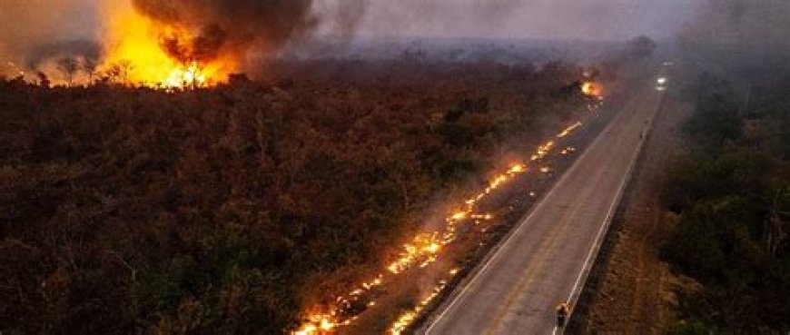 Incendios forestales destruyen al menos 253 casas en Concepción y avanzan hacia sectores urbanos