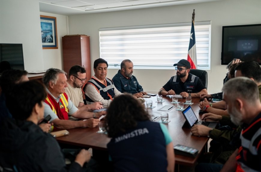 Gobierno confirma 16 fallecidos civiles por incendios forestales en Biobío y Ñuble