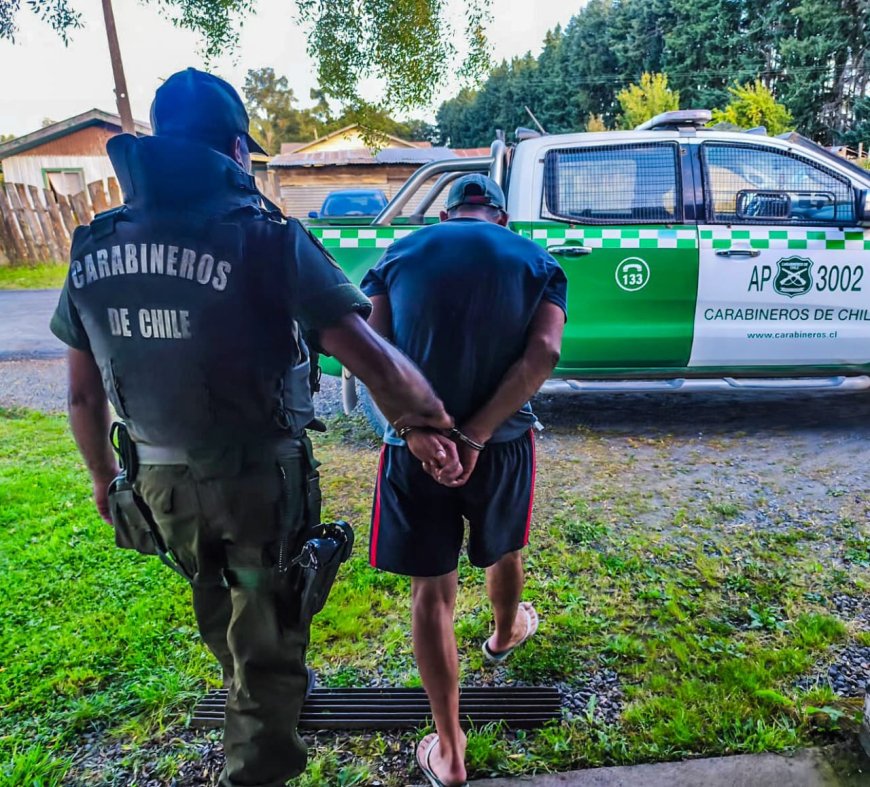 Carabineros detiene a individuo por abigeato de 10 vacunos en sector rural de Río Bueno