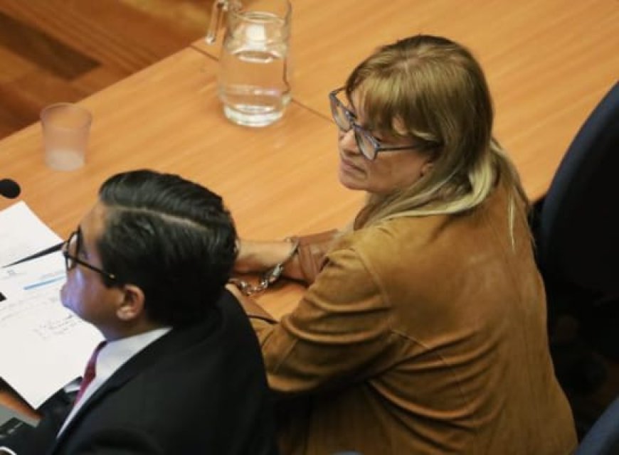Tribunal resolverá este viernes situación procesal de exministra Ángela Vivanco