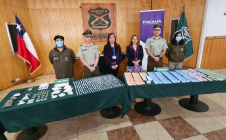 Cinco detenidos y siete allanamientos en Valdivia desarticulan banda vinculada a homicidio en población San Pedro