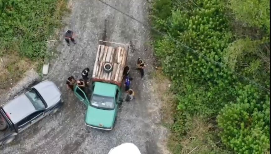 PDI detiene a dos personas por sustracción de madera en predio forestal de Mariquina