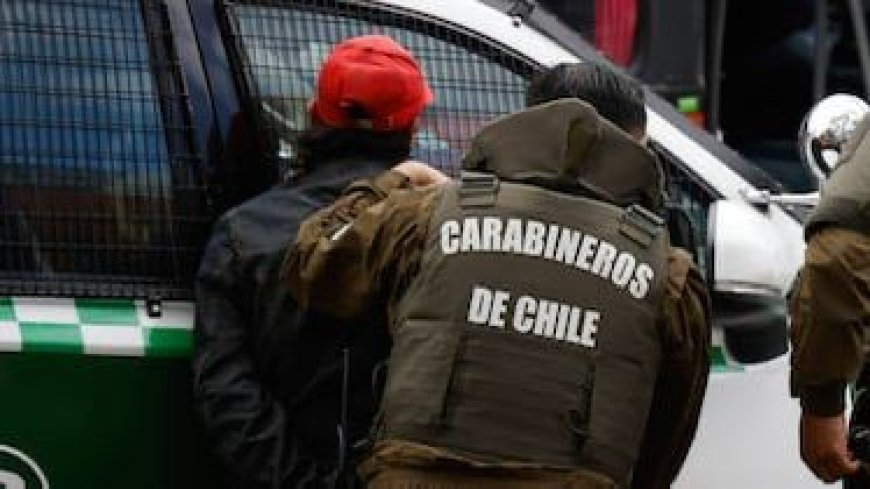 Imputado queda con prisión preventiva por robo violento a anciana y agresión a carabinero en Valdivia