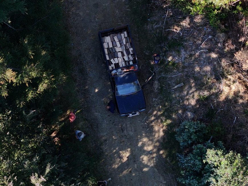 Detienen a dos personas por usurpación y sustracción de madera en predio de Corral
