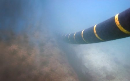 Cable submarino con China profundiza crisis de confianza entre gobierno saliente y futura administración