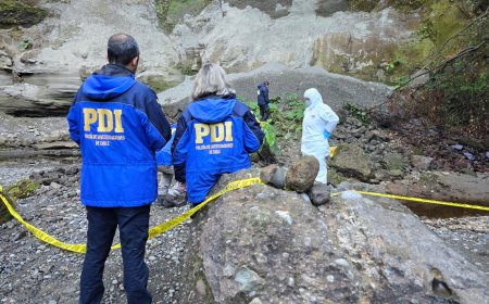 Investigan hallazgo de cadáver de un hombre en sector rural de Quemchi