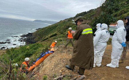 Reprograman para agosto juicio oral por homicidio de Ariel Alexis Millar en Valdivia