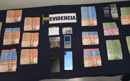 Tres detenidos por cultivo y microtráfico de drogas en operativo de la PDI en La Unión