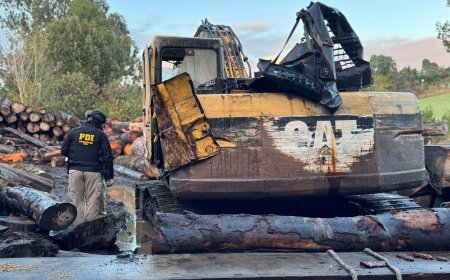 PDI desplegó más de 300 detectives en megaoperativo inédito en Chiloé que culminó con 20 detenidos 