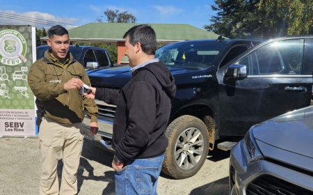 Carabineros recupera camioneta robada en Algarrobo que circulaba en Valdivia con placas falsas