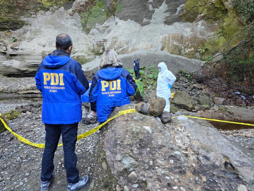 Investigan hallazgo de cadáver de un hombre en sector rural de Quemchi