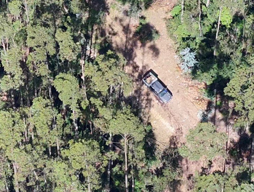 Dos hombres detenidos por sustraer madera desde reserva Alerce Costero de Corral