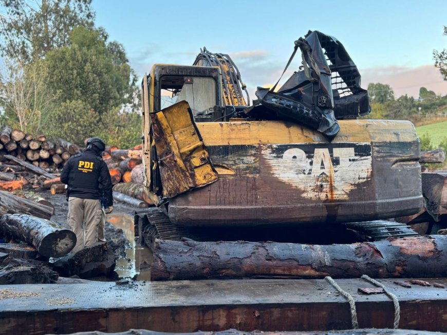 PDI desplegó más de 300 detectives en megaoperativo inédito en Chiloé que culminó con 20 detenidos 