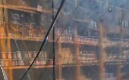 Autoridades condenan ataque a Tienda Mundo Rural en Valdivia: local permanecerá cerrado este lunes