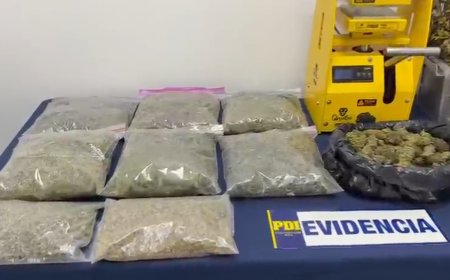 Detienen a hombre que operaba sistema de cultivo indoor de cannabis en Puerto Montt