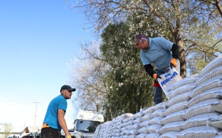 INDAP Los Ríos destina más de $1.150 millones a praderas suplementarias para enfrentar invierno